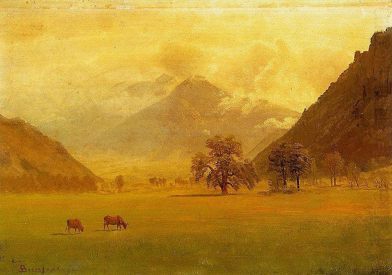 Rhone Valley, Albert Bierstadt